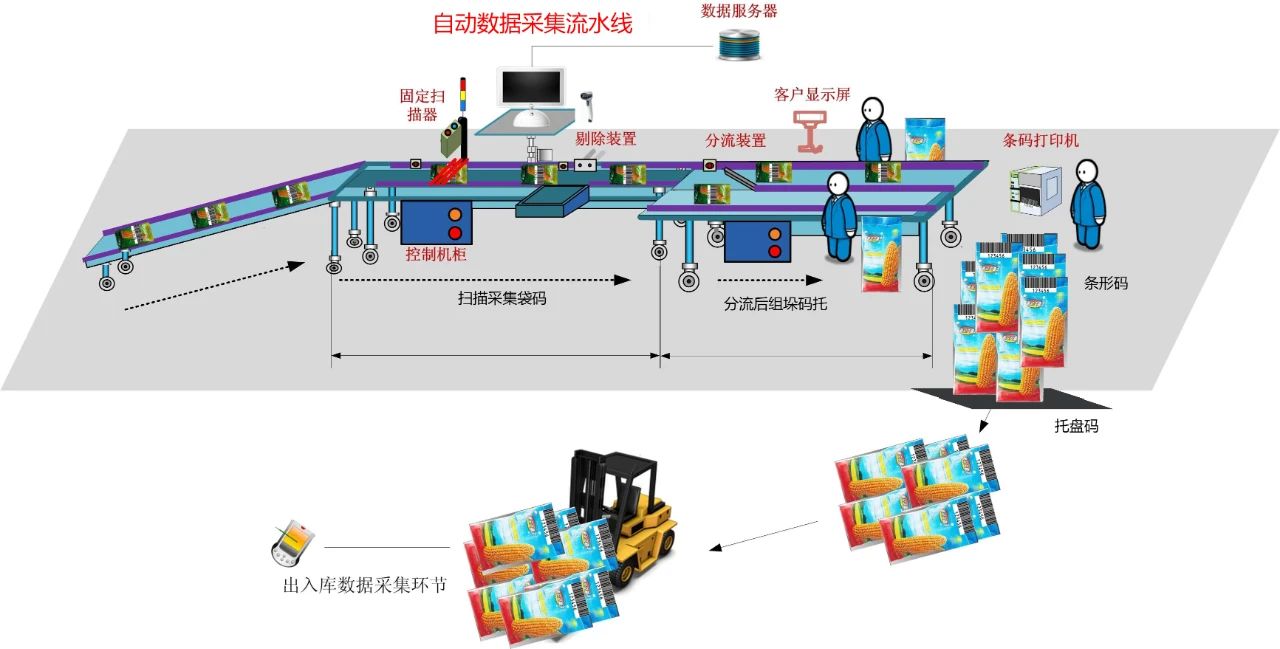 赋码采集关联.jpg