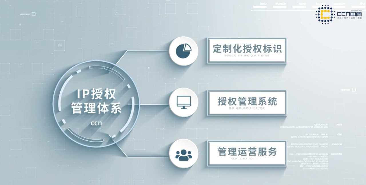 IP授权管控.png